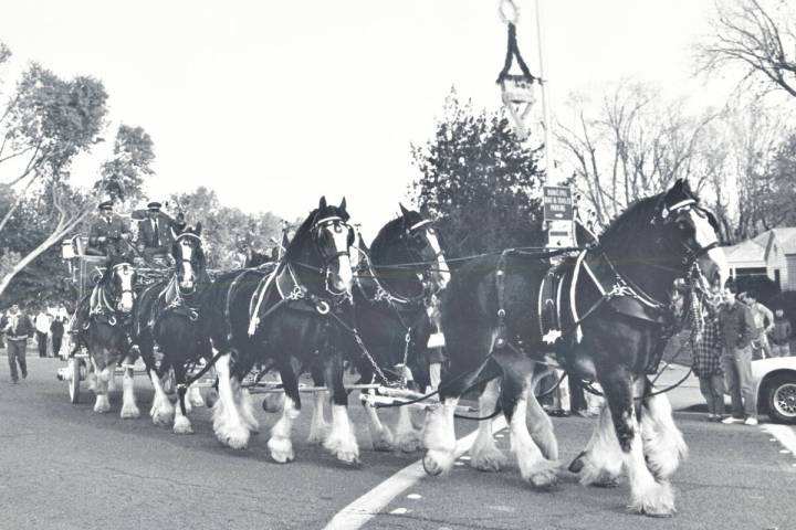 Photo courtesy Boulder City/Hoover Dam Museum This photo, taken by longtime Boulder City News E ...
