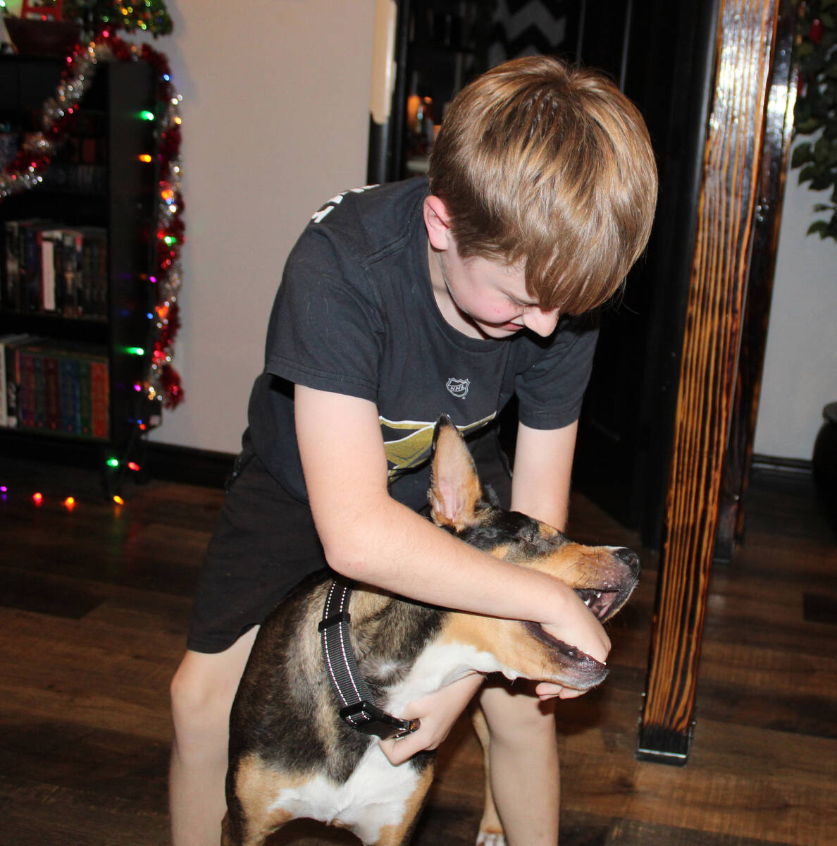 Ron Eland/Boulder City Review Colt Apsey plays with Seven last week in their Boulder City home.