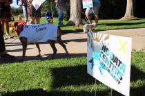 Ron Eland/Boulder City Review It wasn’t just two-legged protesters who came out Wednesday pri ...