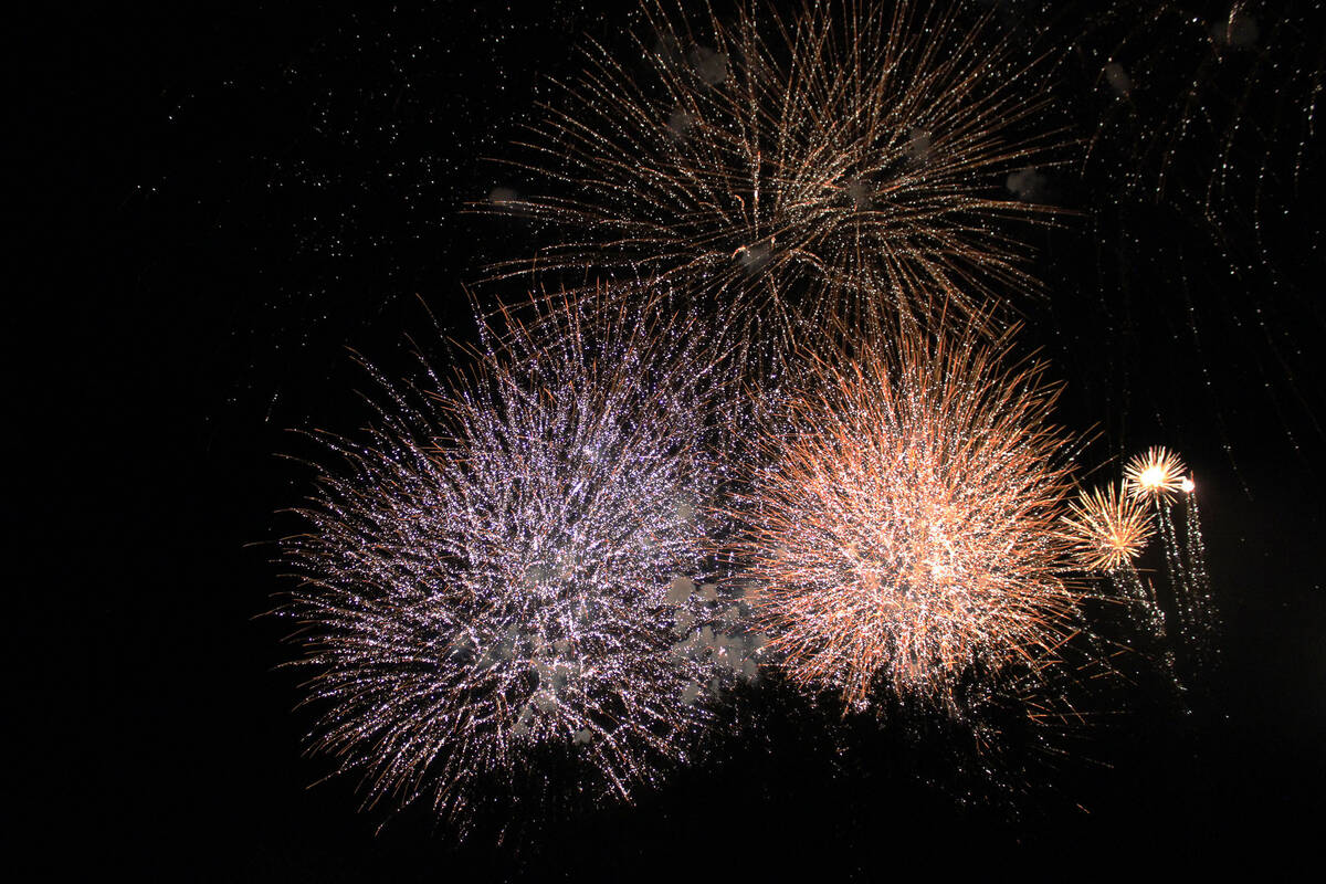 Thousands turned out to Veterans Memorial Park to see the fireworks show. Prior to the show, th ...